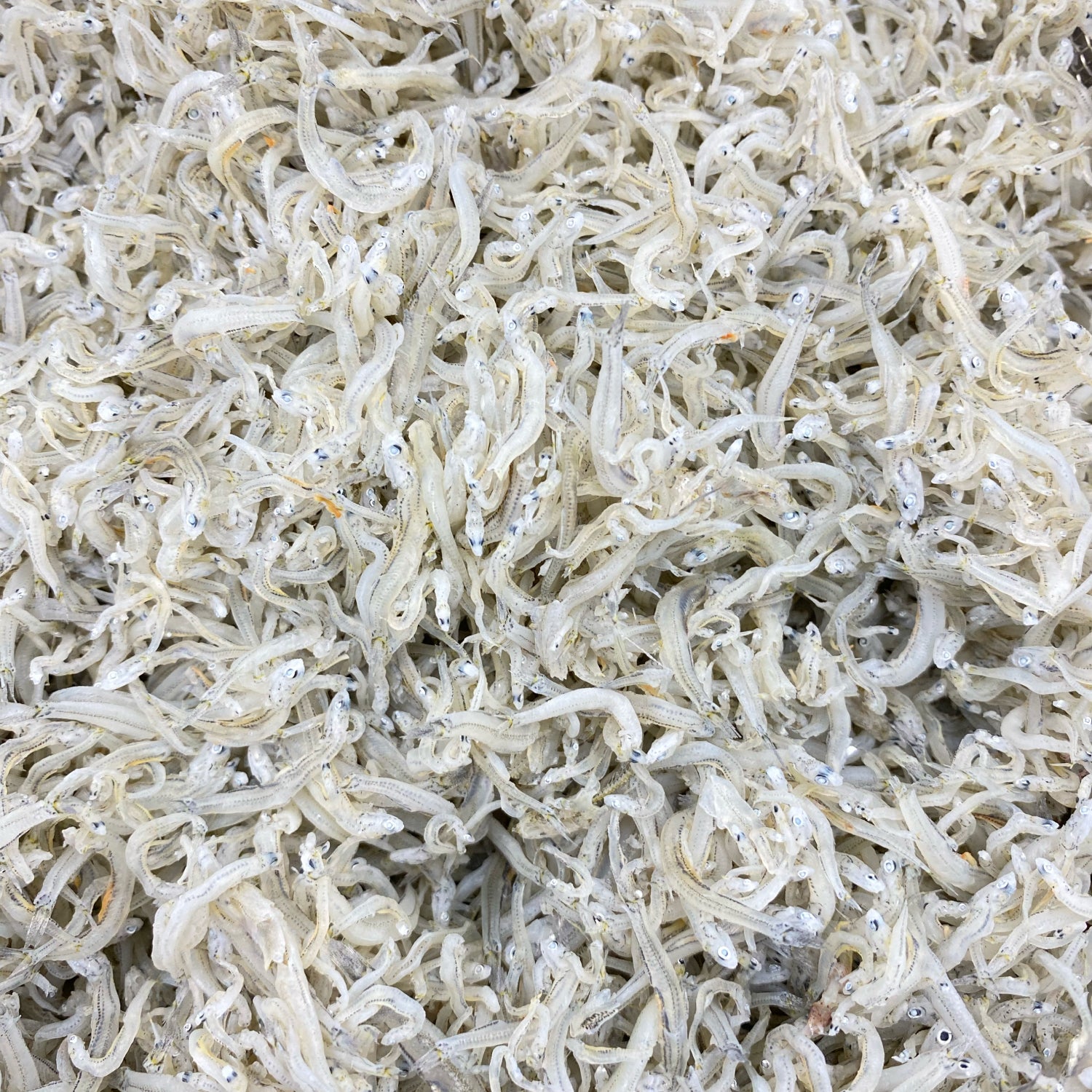 Fish (Shirasu) 5 pack set – ひよりの和ごはん